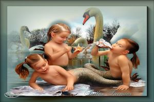 Belleas sirenitas-MG