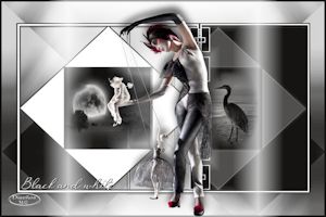 Black and white-MG