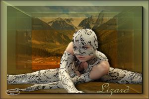 Lizard-MG